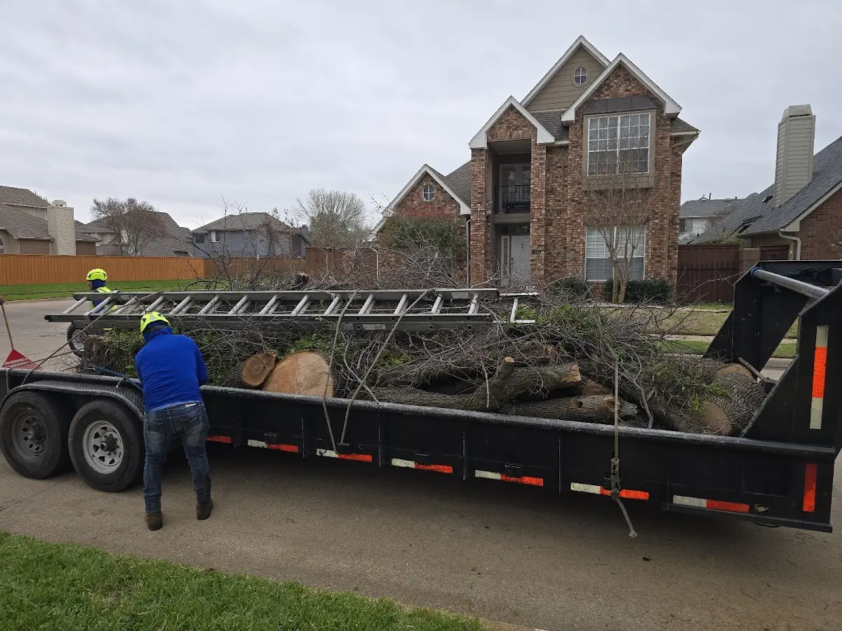 Expert Tree Fertilization with proper safety equipment in Spencerport